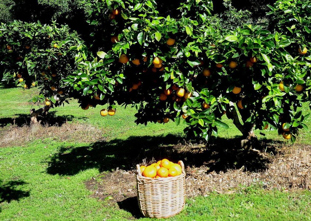 Rosecliffe Farm Cottages Pomona Екстер'єр фото